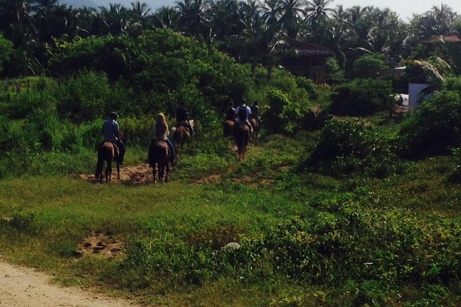 Horseback Riding on the Beach - Key points to know before you ride