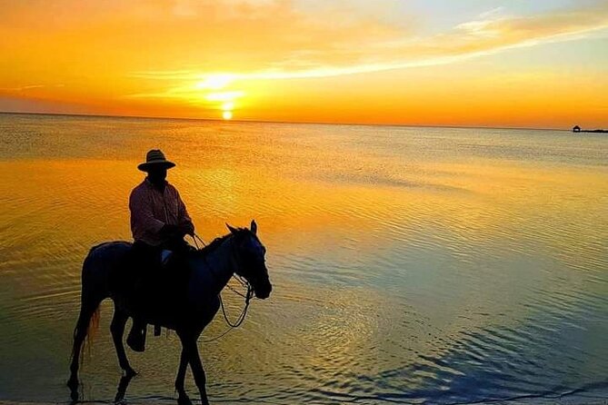 Horseback Riding on the Beaches of Holbox - Key points at a glance