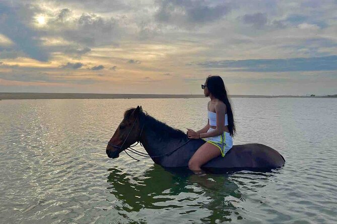 Horseback Riding on the Beaches of Holbox - What makes the horses important