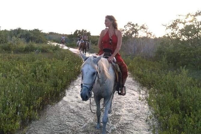 Horseback Riding on the Beaches of Holbox - Guides, photos, and the human side