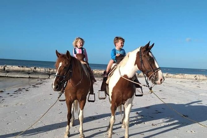 Horseback Riding on the Beaches of Holbox - Through town, jungle, and mangroves