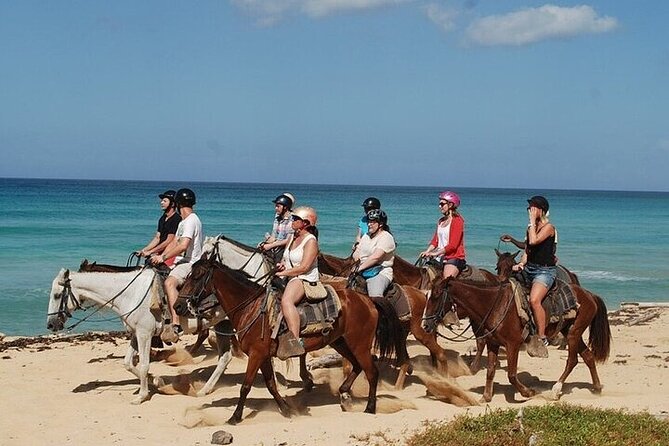 Horseback Riding on the Beaches of Punta Cana - Key points to know before booking