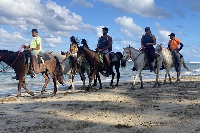 Horseback Riding on the Beaches of Punta Cana - Morning or afternoon: choosing the better time