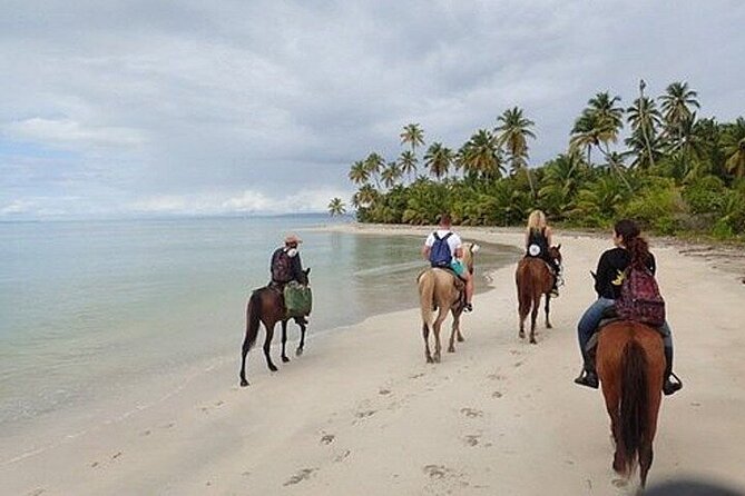 Horseback Riding on the Beaches of Punta Cana - What the guide’s role adds