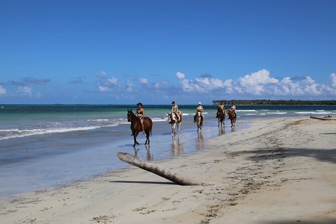 Horseback Riding on the Beaches of Punta Cana - What to expect from the beach setting
