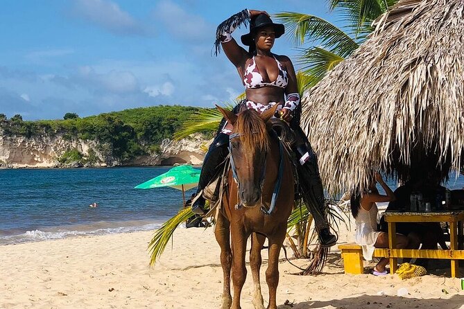Horseback Riding on the Stunning Beaches of Punta Cana - Reaching the beach and enjoying the view