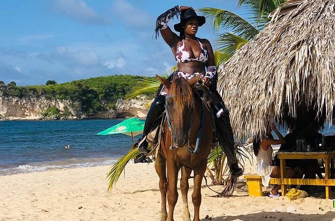 Horseback Riding on the Stunning Beaches of Punta Cana - Coconut water and the small local touches