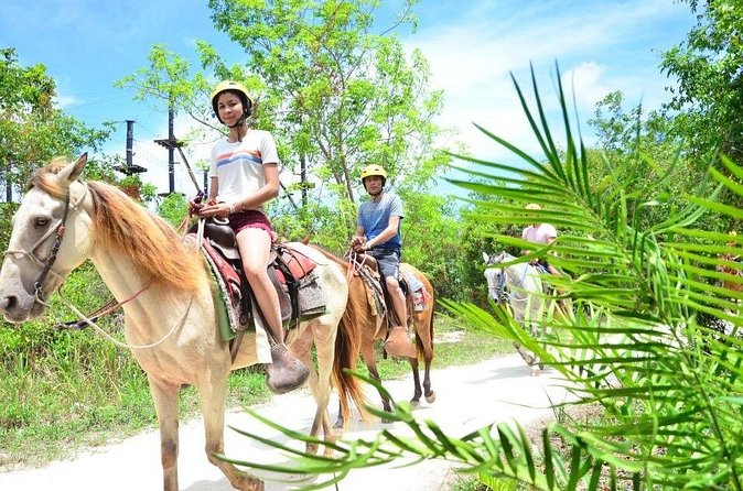 Horseback Riding on the Stunning Beaches of Punta Cana - Who will enjoy this ride most