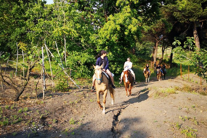 Horseback Riding on Vesuvius - Food, wine, and what is included