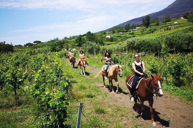 Horseback Riding on Vesuvius - Meeting in Pompeii and reaching the riding area