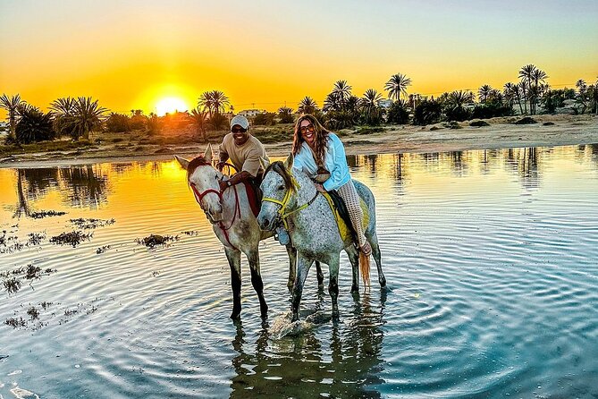 Horseback riding or camel at sunset in Djerba - Key points to know before booking