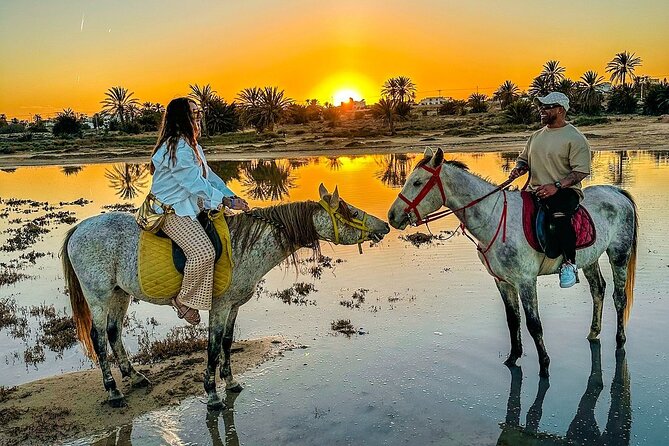 Horseback riding or camel at sunset in Djerba - A simple sunset ride on Djerba’s coast