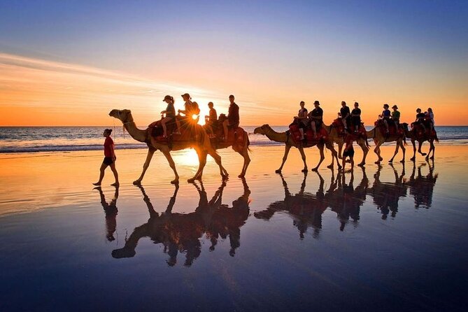 Horseback riding or camel at sunset in Djerba - What the one-hour beach route feels like