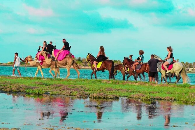Horseback riding or camel at sunset in Djerba - Guides, atmosphere, and the human side