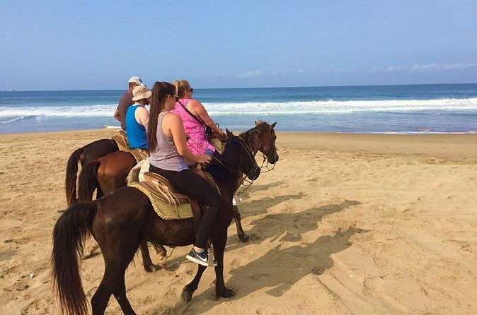 Horseback Riding Playa Larga - Pickup, meeting point, and the return