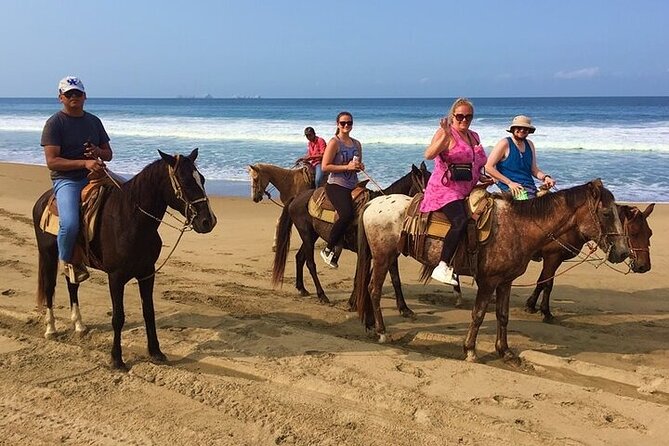 Horseback Riding Playa Larga - Crossing the coconut palm grove