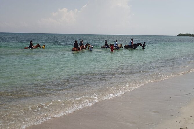 Horseback Riding plus Dunns River Falls Combo Private Tour - Dunn’s River Falls, wet climb or dry trail