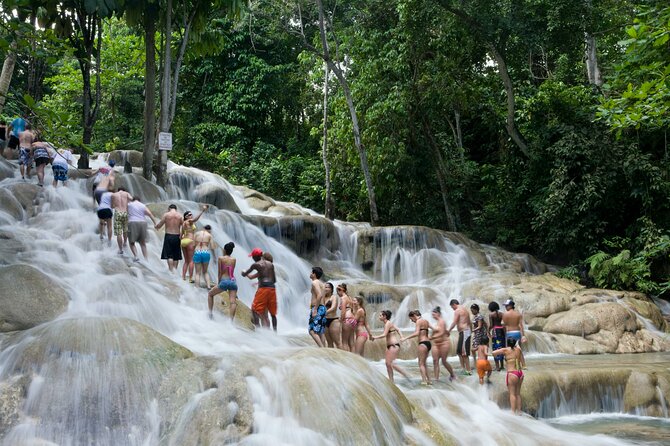 Horseback Riding plus Dunns River Falls Combo Private Tour - What the private format really adds