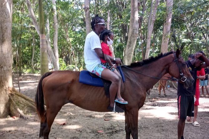 Horseback Riding plus Dunns River Falls Combo Private Tour - Is $190 per person fair value?