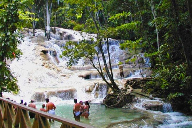Horseback Riding plus Dunns River Falls Combo Private Tour - Horseback riding into the Caribbean Sea