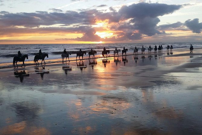 Horseback riding route through Doñana + visit to El Rocio-Private tour - Riding beside Doñana National Park