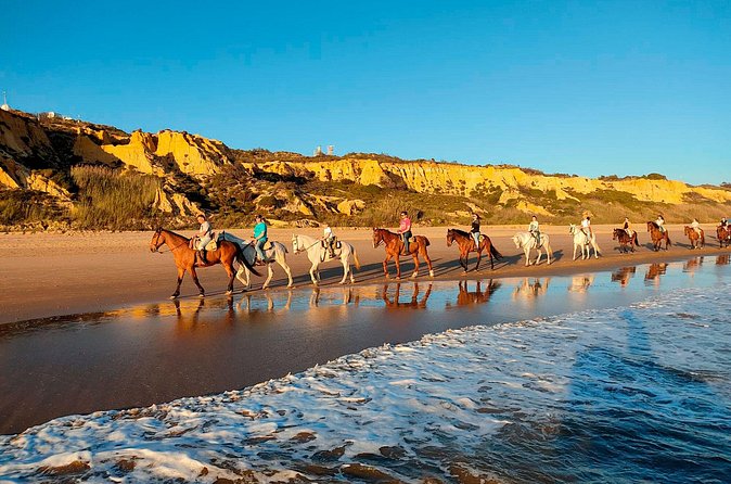 Horseback riding route through Doñana + visit to El Rocio-Private tour - The Sanctuary of Nuestra Señora del Rocío