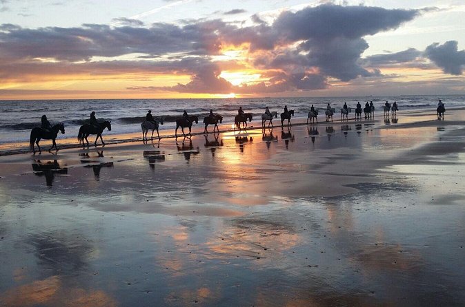 Horseback riding route through Doñana + visit to El Rocio-Private tour - A small group with a private-tour feel