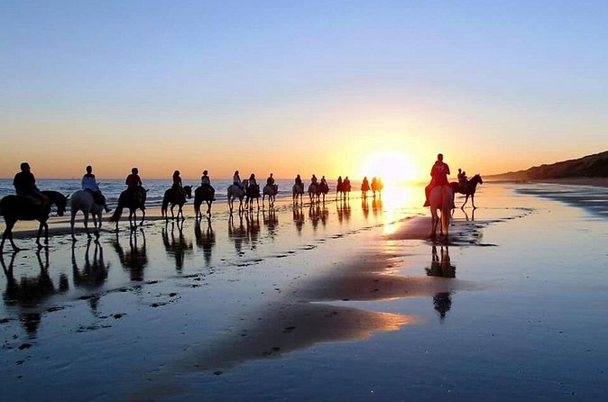 Horseback riding route through Doñana + visit to El Rocio-Private tour - What to expect at Matalascañas