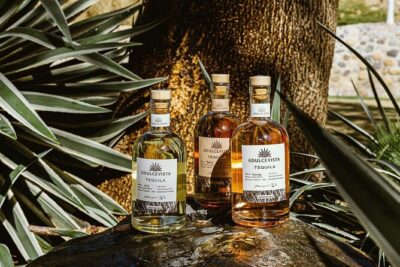 Horseback Riding & Swim: Tequila Tasting, BBQ & Margaritas
