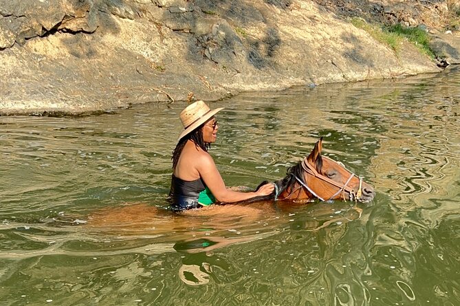 Horseback Riding & Swim: Tequila Tasting, BBQ & Margaritas - La Dulce Vista, tequila, salsa, and lunch