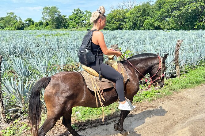 Horseback Riding & Swim: Tequila Tasting, BBQ & Margaritas - Is the $113.26 price fair?