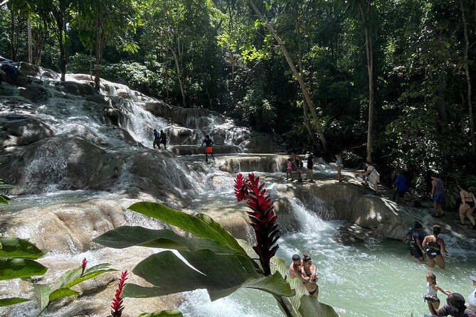 Horseback Riding/Swimming and Dunn's River from Ocho Rios - Transport from Ocho Rios