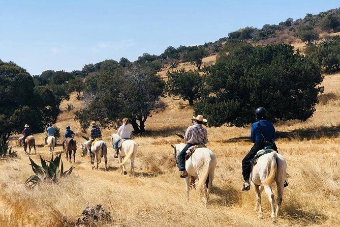 Horseback Riding through Mexican Haciendas - Key points to know before booking