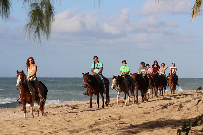 Horseback Riding through Secluded Beaches and Tropical Forests - Quick facts that matter