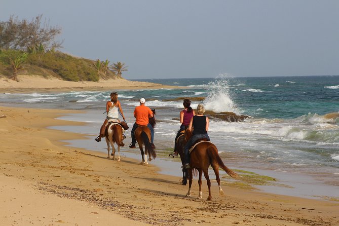 Horseback Riding through Secluded Beaches and Tropical Forests - What the forest and farm paths add