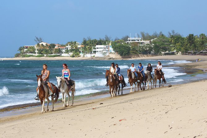 Horseback Riding through Secluded Beaches and Tropical Forests - Survival Beach brings the best pause