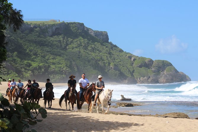Horseback Riding through Secluded Beaches and Tropical Forests - Morning ride or afternoon light