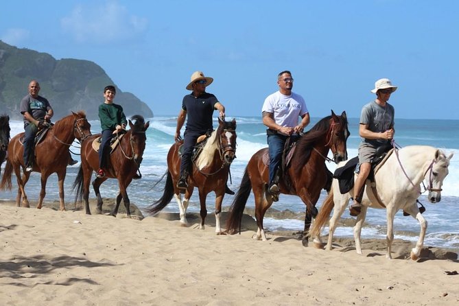 Horseback Riding through Secluded Beaches and Tropical Forests - Guides set the tone