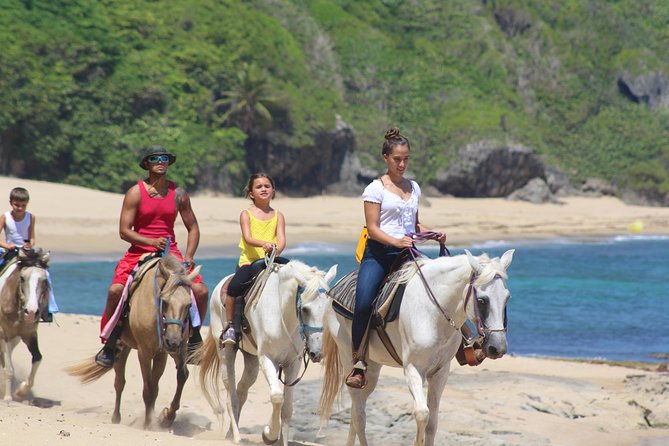Horseback Riding through Secluded Beaches and Tropical Forests - The practical limits to check first