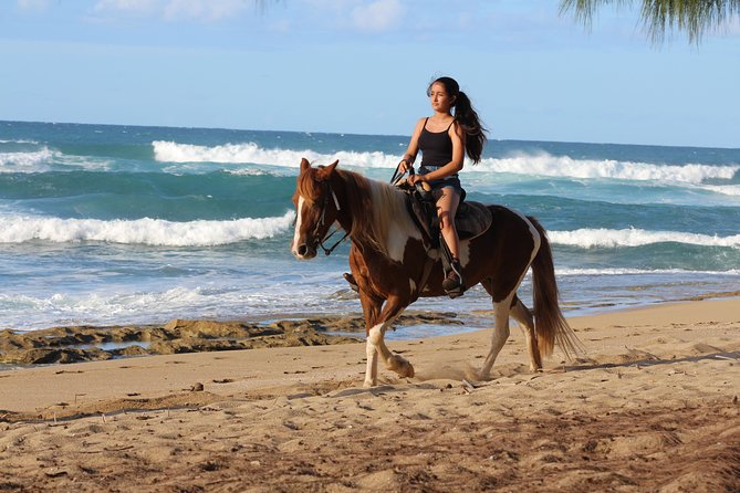 Horseback Riding through Secluded Beaches and Tropical Forests - Shacks Beach is the first coastal stop