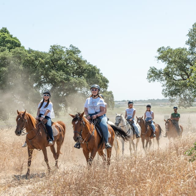 Horseback Riding Through The Beach GROUP - PDT - My Verdict on This Beach Ride