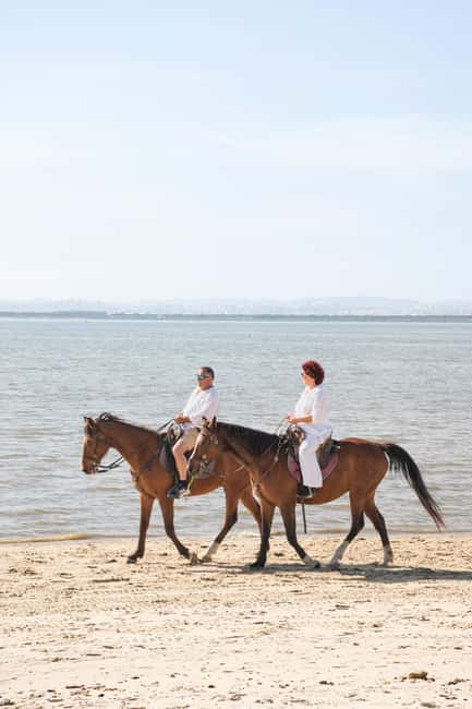Horseback Riding Through The Beach GROUP - PDT - Why Tide-Based Timing Matters