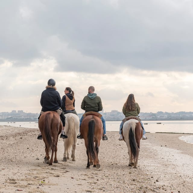 Horseback Riding Through The Beach GROUP - PDT - Horses That Suit New Riders