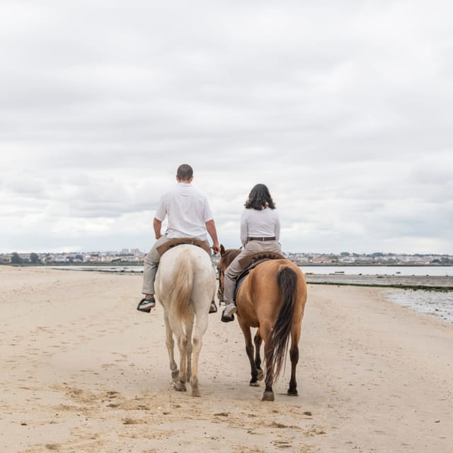 Horseback Riding Through The Beach GROUP - PDT - What the Scenery Is Really Like