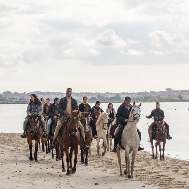 Horseback Riding Through The Beach GROUP - PDT - Price, Group Size, and Overall Value