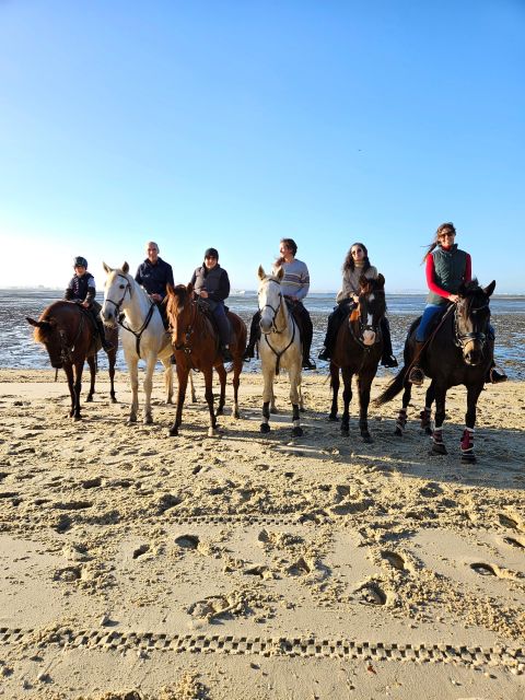 Horseback Riding Through The Beach GROUP - PDT - Who Should Book This Ride