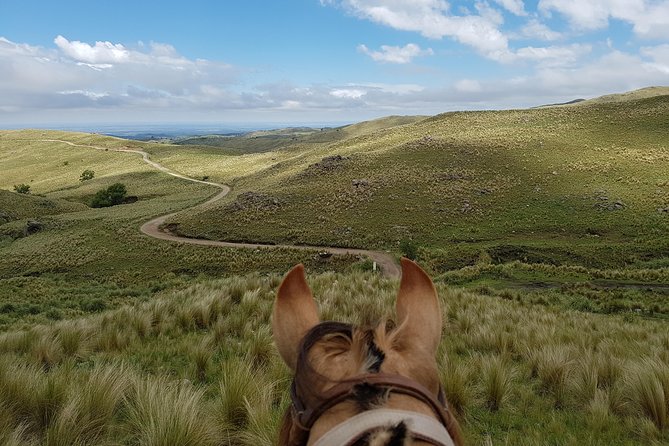 Horseback riding through the Sierras - The $100 price and what you receive
