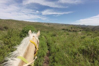 Horseback riding through the Sierras