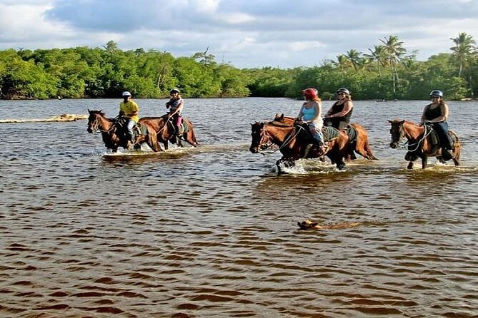 Horseback Riding to Maimon River from Punta Cana - Leaving Punta Cana for the Dominican Countryside