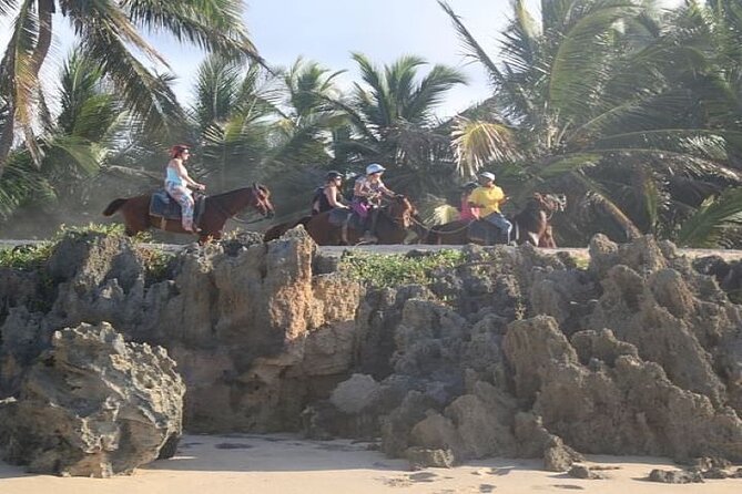 Horseback Riding to Maimon River from Punta Cana - Meeting Your Horse at the Traditional Ranch